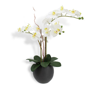 Luxurious CG Hunter Commercial Artificial White Double Stem Orchid elegantly displayed in a chic black artisan planter, showcasing lifelike petals and sophisticated design, perfect for enhancing upscale commercial spaces.