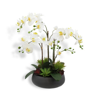 Commercial Artificial White Orchid with Succulents by CG Hunter, showcasing lifelike petals and elegant design in a round artisan planter.