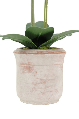 Stylish pot featuring a lush green orchid leaf, accenting the elegance of the Artificial 2-Stem Phalaenopsis White Orchid by CG Hunter. Ideal for contemporary interiors.