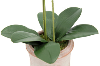 Close-up of the lush green leaves of the Artificial 2-Stem Phalaenopsis Pink Orchid by CG Hunter, showcasing exquisite detailing and quality.