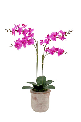 Lifelike 2-Stem Phalaenopsis Pink Orchid from CG Hunter, elegantly displayed in a ceramic pot, enhancing luxury home decor.