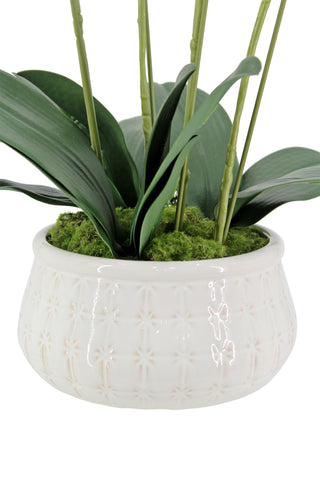 Elegant decorative pot with artificial 4-stem Phalaenopsis white orchid, featuring lush green leaves and moss, by CG Hunter.