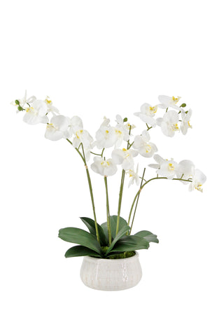 Stunning arrangement of artificial 4-stem Phalaenopsis white orchids in a stylish pot, perfect for enhancing home aesthetics, by CG Hunter.
