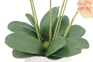 Close-up of lush green leaves for the Artificial 4-Stem Phalaenopsis Orange Orchid by CG Hunter, showcasing high-quality materials and realistic design, ideal for enhancing interior spaces.