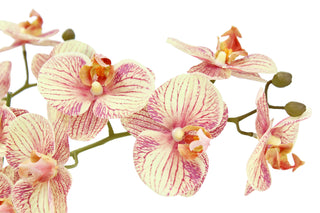 Detailed view of the stunning flowers on the Artificial 4-Stem Phalaenopsis Orange Orchid by CG Hunter, highlighting intricate details and vibrant colors that add elegance to any room.