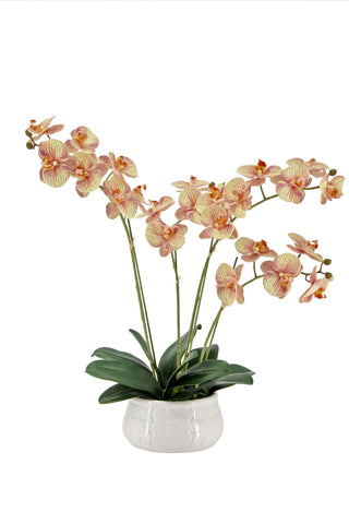 Luxury Artificial 4-Stem Phalaenopsis Orange Orchid arrangement by CG Hunter, featuring vibrant, lifelike flowers in an elegant white pot, perfect for sophisticated home decor.