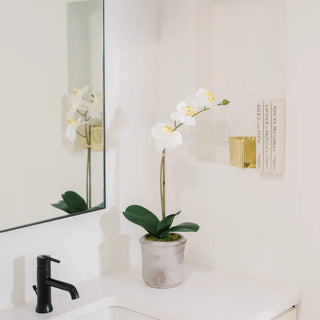Potted orchid on a bathroom counter with mirror reflection