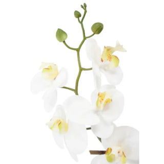 Artificial white orchid branch with yellow centers on a white background