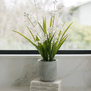 Potted plant on a stack of books with a blurred window background