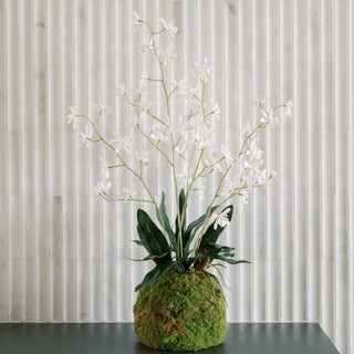 Artificial plant arrangement with white flowers and green base on a neutral background