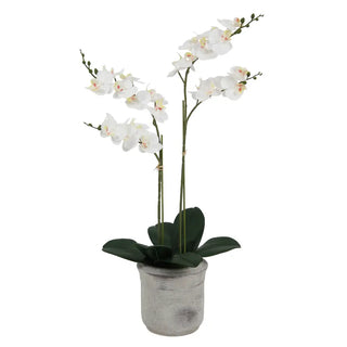 Artificial 2-Stem Phalaenopsis White Orchid