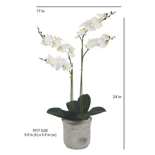 Artificial 2-Stem Phalaenopsis White Orchid