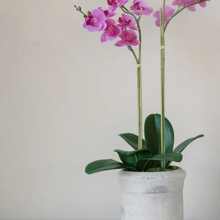 Artificial 2-Stem Phalaenopsis Pink Orchid