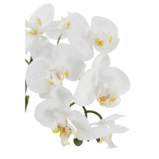 21" White Phalaenopsis Orchid in Textured Pot