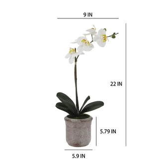 22" Artificial White Phalaenopsis Orchids, Set of 2