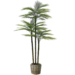 Stylish 7' Artificial Palm Tree by CG Hunter displayed in a chic woven basket, adding a touch of tropical luxury to any interior space.