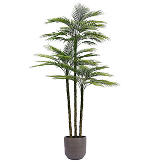 Luxurious 7' Artificial Palm Tree by CG Hunter in a contemporary black 9.5" grower pot, showcasing its exquisite fronds and natural elegance.