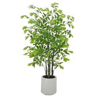 Potted plant with green leaves on a white background