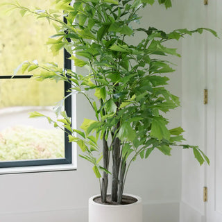 Potted plant in a room with a window in the background