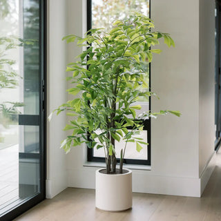 Potted plant in a modern interior setting with large windows.