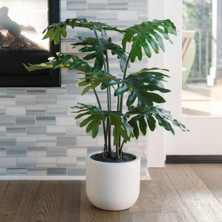 Artificial Fiddle Leaf Fig Tree and Potted Philodendron