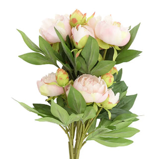 Peony Garden Rooted in Stone