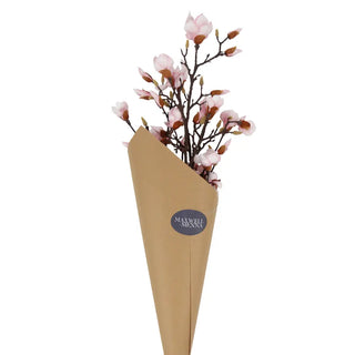 Pink Magnolia Study in Smoke