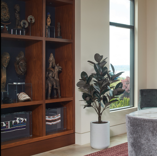 CG Hunter's exquisite 5' Rubber Ficus Tree featured beside artfully arranged decor, showcasing its striking presence in a modern interior.