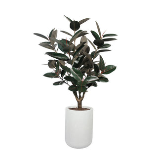 Full view of the CG Hunter 5' Rubber Ficus Tree in Modern Gray Planter, featuring lush, lifelike leaves and a modern aesthetic that enhances any elegant indoor space.