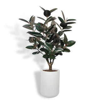 Luxurious 5' Rubber Ficus Tree by CG Hunter, elegantly placed in a modern gray planter, showcasing lifelike leaves and hand-painted trunks for an exquisite indoor decor accent.