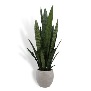 Luxury artificial snake plant with lifelike green foliage in a modern grey planter by CG Hunter. Perfect for elevating interior decor.