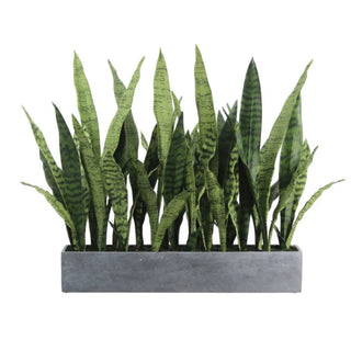 Artificial snake plant in a rectangular pot on a white background