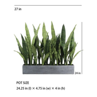 Artificial snake plant in a pot with dimensions displayed