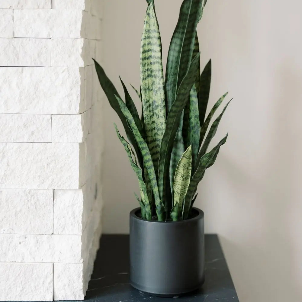faux snake plant in pot CG Hunter 40" Artificial Snake Plant in Green