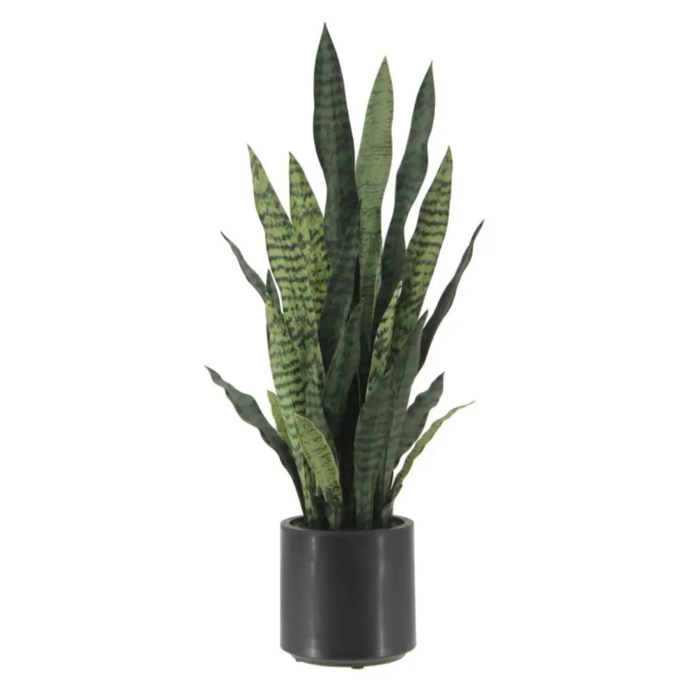 artificial snake plant without pot CG Hunter 40" Artificial Snake Plant in Green