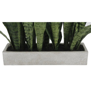 Rectangular Snake Plant Arrangement in Gray Pot