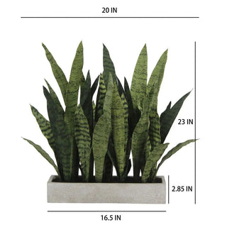 Rectangular Snake Plant Arrangement in Gray Pot