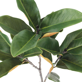Close-up of the 36" Faux Green Magnolia Leaf Stem by CG Hunter, highlighting the intricate details of lush green leaves with touches of gold, ideal for stylish home arrangements.