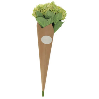 Green flowers in a paper cone on a white background