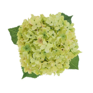 Artificial green hydrangea flower arrangement on a white background