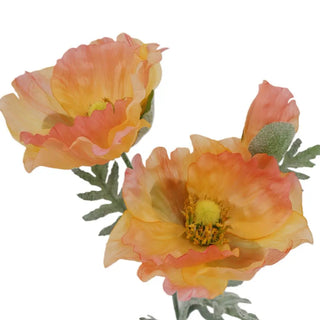 31" Artificial Apricot Poppy Stems