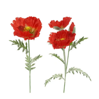 Three red flowers with green stems on a white background