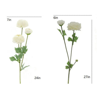 Two white flowers with measurements on a white background