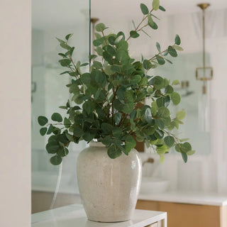 Green potted plant in a white vase on a surface with a blurred background