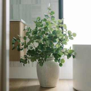 Potted plant in a white pot on a wooden floor with a blurred background