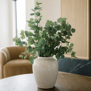 Potted plant in a white vase on a table with a blurred background