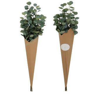 Two cone-shaped planters with eucalyptus plants on a white background
