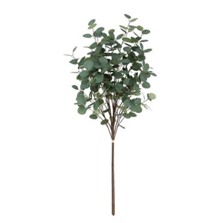 Artificial eucalyptus branch on a white background