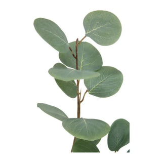 Artificial eucalyptus branch on a white background