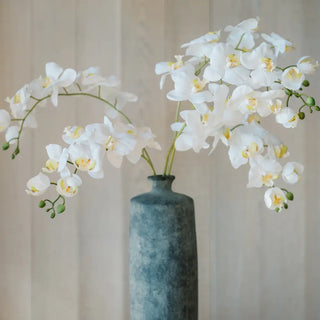 White flowers in a blue vase against a neutral background